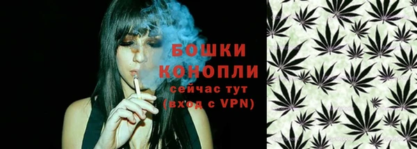 дмт Инта