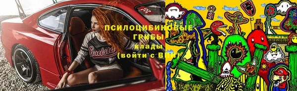 дмт Инта