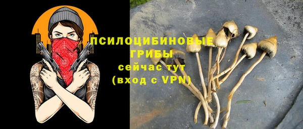 прущие грибы Зерноград