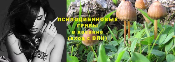 дмт Инта