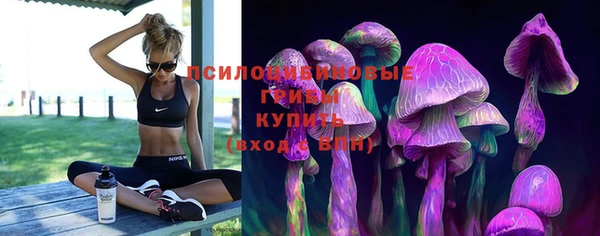 дмт Инта